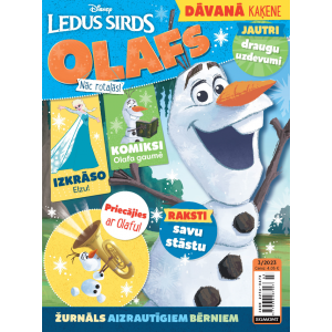 Žurnāls “Ledus sirds”
