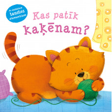 Kas patīk kaķēnam? Ar dažādiem taustes elementiem