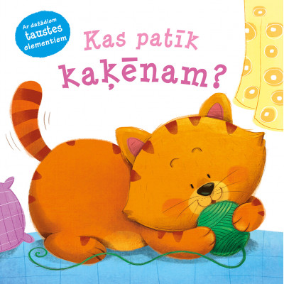 Kas patīk kaķēnam? Ar dažādiem taustes elementiem