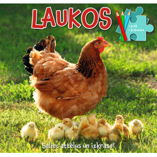 Laukos. Saliec attēlus un izkrāso!